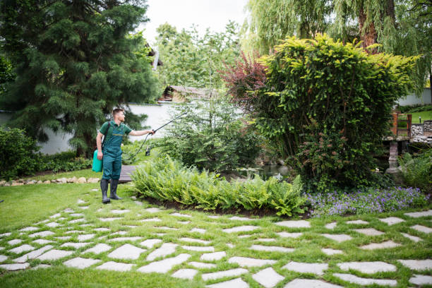 Best Local Pest Control Services  in Riverdale, GA