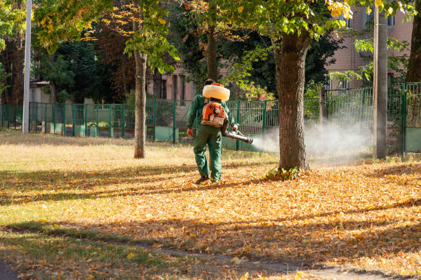 Best Rat Extermination Near Me  in Riverdale, GA