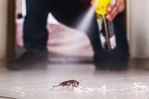 Best Commercial Pest Control Services  in Riverdale, GA