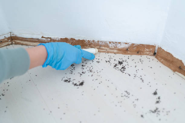 Best Pest Control Near Me  in Riverdale, GA