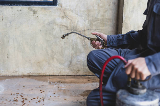 Best Pest Removal Services  in Riverdale, GA