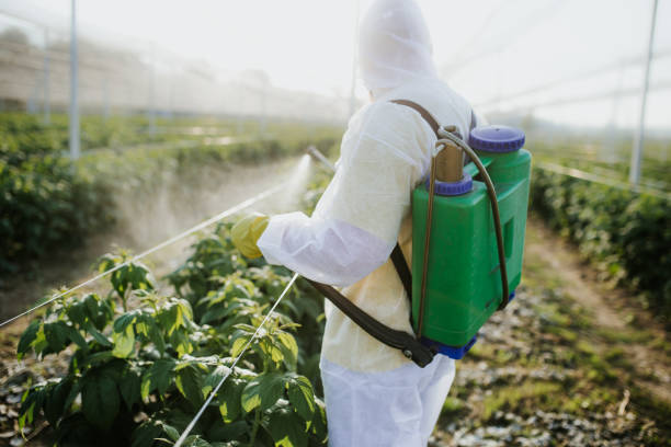 Best Mosquito Control Services  in Riverdale, GA